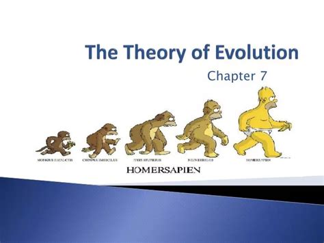 PPT - The Theory of Evolution PowerPoint Presentation, free download ...