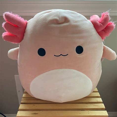 Squishmallow Archie Axolotl 12" | Mercari Cute Stuffed Animals, Cute ...