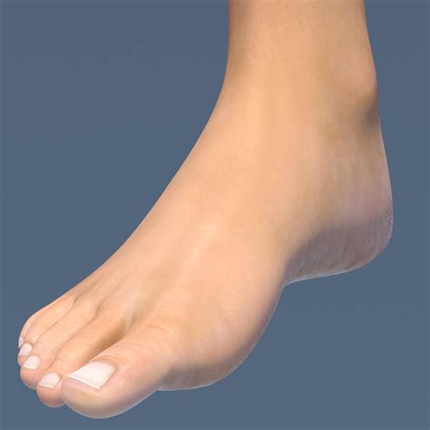 Female Foot 3D Model #AD ,#Female#Foot#Model Ambient Occlusion, Low ...