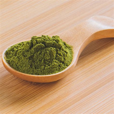 Rainforest Supply Moringa Powder 11 lb.