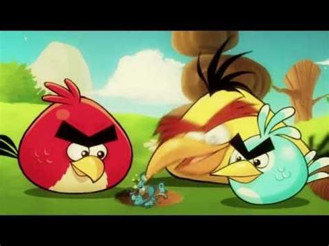 Super Funny Angry Birds - YouTube