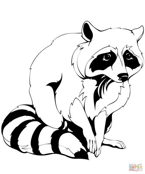 Raccoon coloring page | Free Printable Coloring Pages