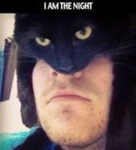 I am the night! | Funny animal jokes, Funny cat memes, Funny animal memes