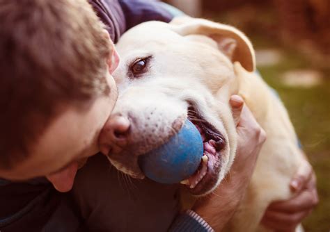 10 Tips for Raising a Happy Pet - Get That Right