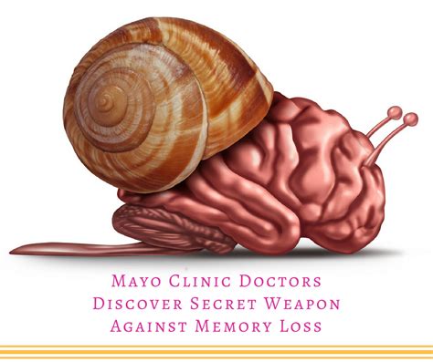 Mayo Clinic doctors discover secret weapon against memory loss - Barton ...