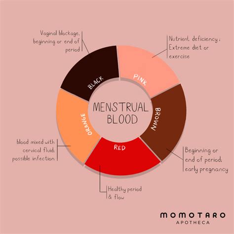 Understand What the Color of Your Period is Telling You – Momotaro Apotheca