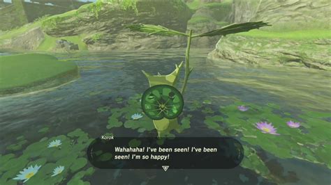 What you get for finding all Korok seeds in Zelda: Breath of the Wild