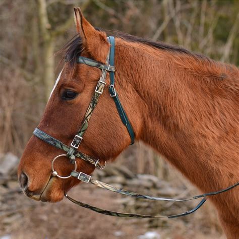 Shop Simple Bridle With Camouflage Biothane – Two Horse Tack