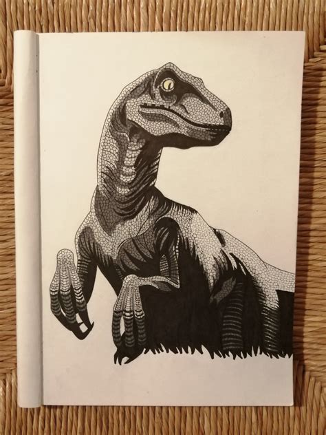 ArtStation - Velociraptor Jurassic Park Fan art