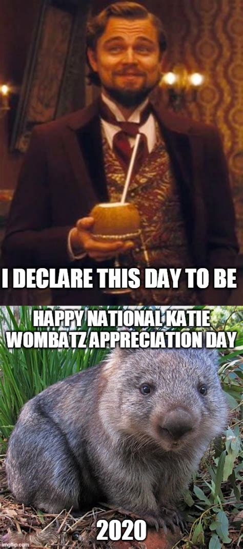 wombat Memes & GIFs - Imgflip