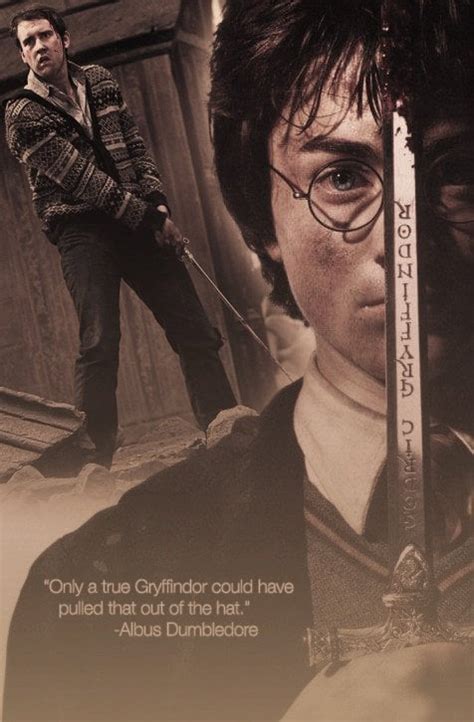 Chamber of Secrets Quote : harrypotter