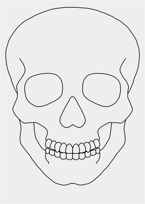 Skull outline clip art simple human skull drawing cliparts cartoons ...