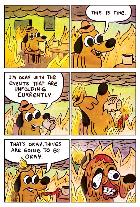 This is fine Meme | Meaning & History | Dictionary.com