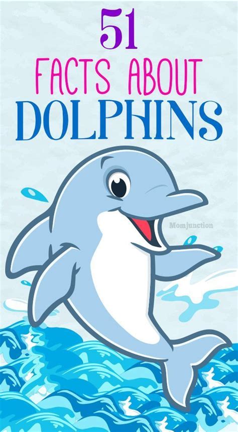 Top 51 Fascinating Facts About Dolphins For Kids | Dolphin facts ...