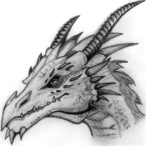 Chinese Dragon Face Drawing at PaintingValley.com | Explore collection ...