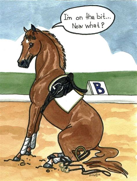 Haha, horse humour! #horsetraining | Funny horses, Horse quotes funny ...