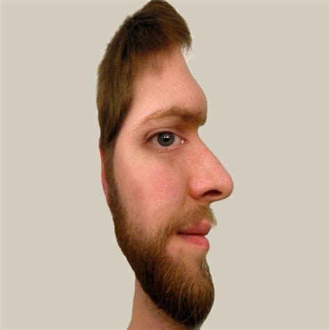 Face Illusion by West-Ninja on DeviantArt | Face illusions, Optical ...