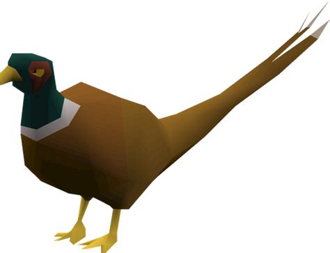 Pheasant (pet) - OSRS Wiki