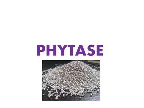 Phytase Enzyme at Best Price in India