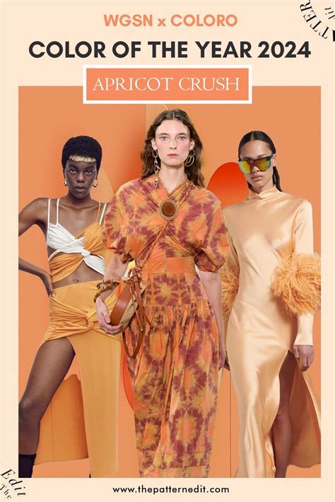 Color of the Year 2024 - Apricot Crush from WGSN x Coloro | Color ...