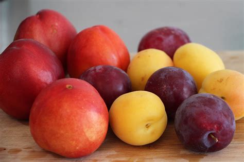 A Bounty of Summer Stone Fruit in a Salad | KQED