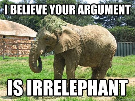 elephant meme - Google Search | Elephant, Jokes, Memes