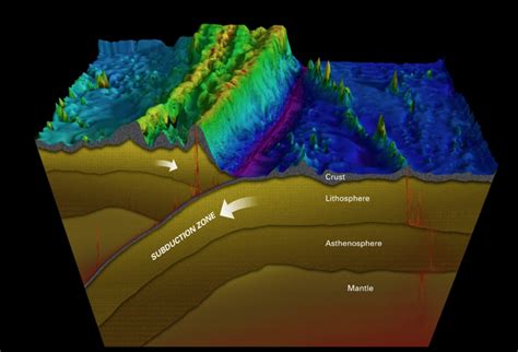 In Photos: ROV Explores Deep Ocean Trench | Live Science