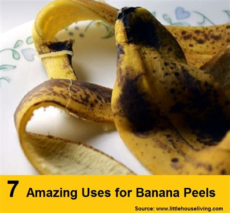 7 Amazing Uses for Banana Peels - HOME and LIFE TIPS