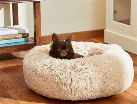 The Best Frisco Dog Beds For Pups of All Sizes - Veterinarians.org