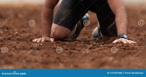 Mud race runners stock photo. Image of participant, exercise - 147281988