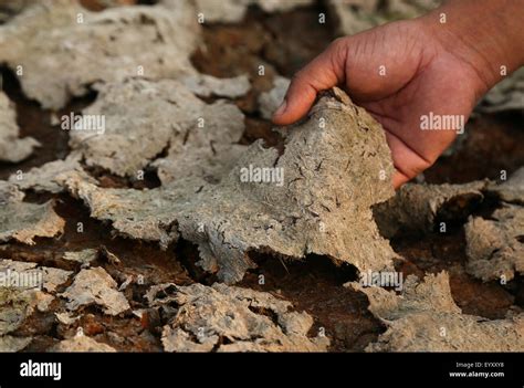 Cracked earth due to drought Stock Photo - Alamy