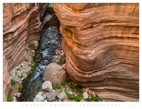 Tapeats Creek, Deer Creek Trail, Grand Canyon - Photographs by Charles ...