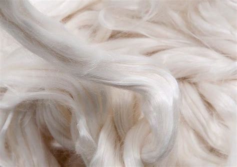 What is TENCEL™ fibers fabric made of? About TENCEL™ Lyocell & Modal ...