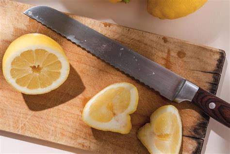 Serrated Utility Knife Uses for Perfect Cuts Every Time - HDMD Knives Blog