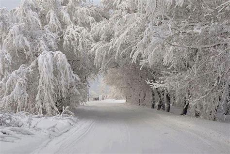 Beautiful Michigan winter scene..... | Winter Wonderland | Pinterest