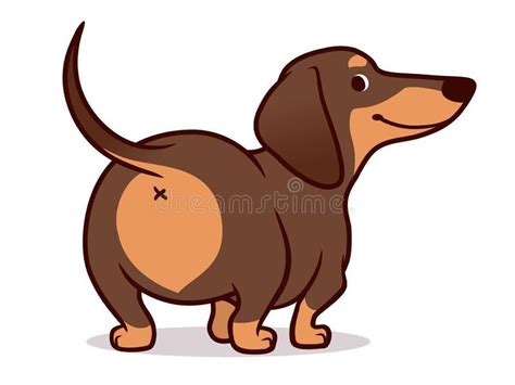 Cute wiener sausage dog cartoon illustration isolated on white. Simple ...