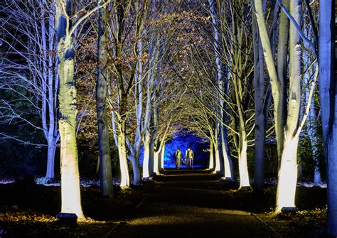 Ann Miles Blog: Anglesey Abbey Winter Lights 1. Static Shots