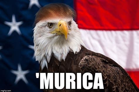 Trump Eagle- 'Murica - Imgflip