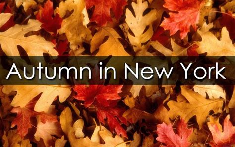 The Radisson Martinique NYC: Autumn in New York City