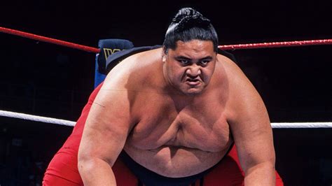 WWE Hall Of Famer Yokozuna was found dead in mysterious circumstances ...