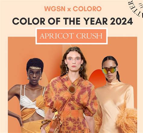 New Year 2024 Colors To Wear - Liza Sheryl