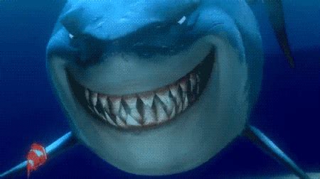 sh rks - animated shark gifs on my computer