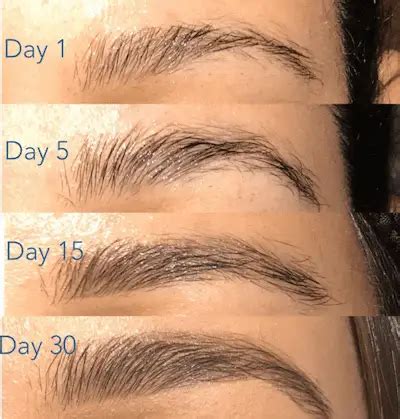 Castor Oil Eyebrows Before And After Blog - EyebrowShaper