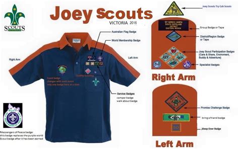 Joey Scout badge placement Victoria finished 2016 new Australia wide ...