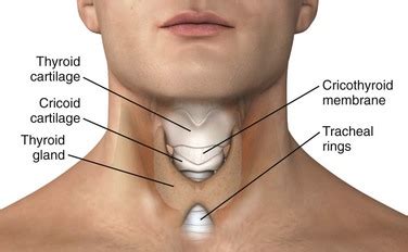 Cricothyroidotomy Anatomy