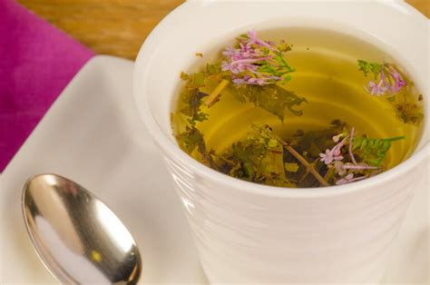 Mormon Tea: What Is It And How Does It Taste? – Tea Backyard