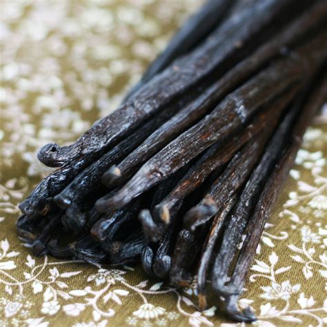 Vanilla Beans - The Silk Road Spice Merchant