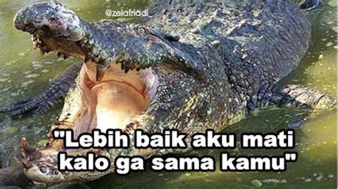 Meme Buaya Darat Ukhti - Meme Mania