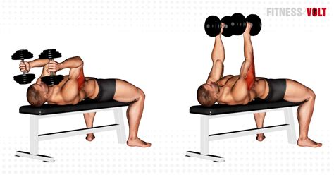 Master the Dumbbell Lying Triceps Extension for Stronger Arms – Fitness ...