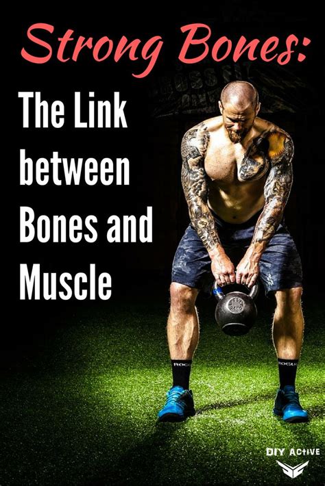 Strong Bones: The Link between Bones and Muscle | Strong bones, Bones ...